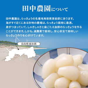 412.蜂蜜入りラッキョウ漬け　（ビン入り：400g×2本　袋入り：180g×2袋）　※2026年10月中旬～12月下旬頃に順次発送予定