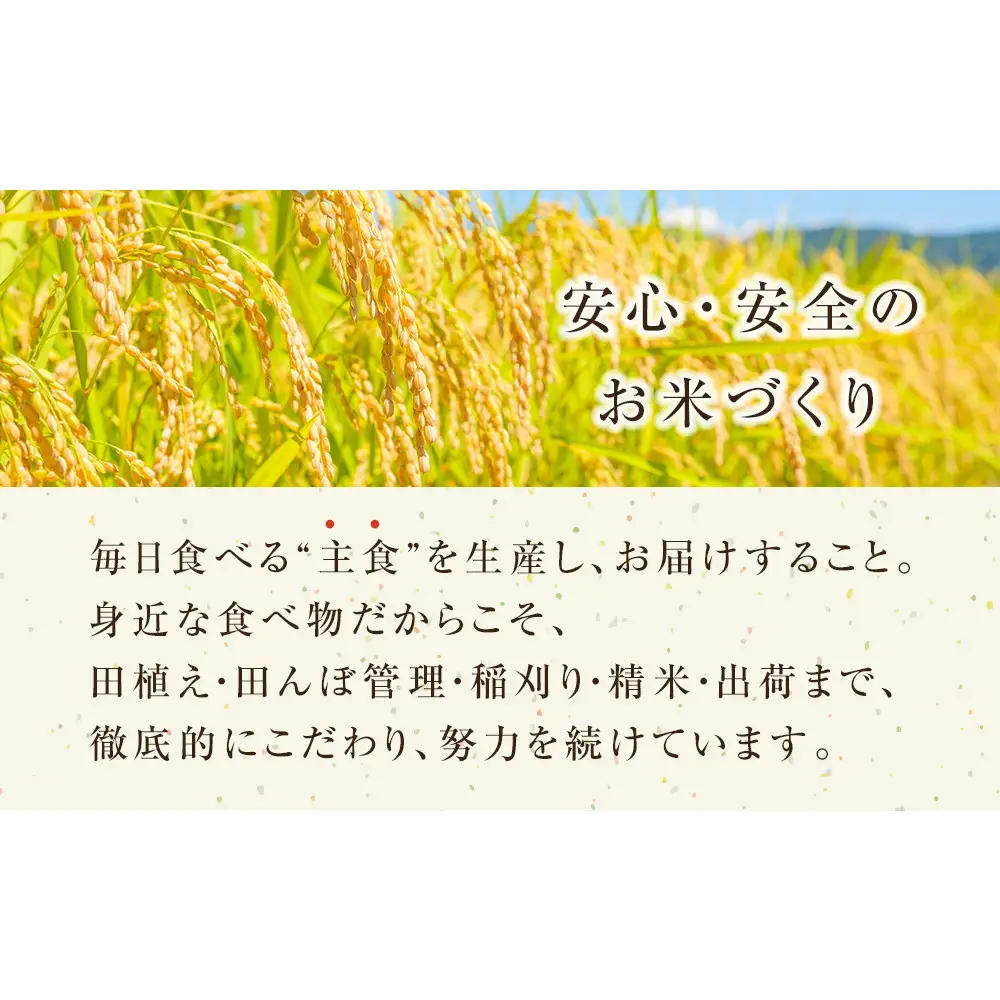 日置さん家のお米 鳥取旭 3kg × 3袋【 精米 ・2026年産】 米