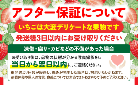 ≪先行予約≫ NATSUMI ICHIGO 女峰 約800g以上 プレミアムBOX 【2027年1～6月配送】 | スイーツ いちご ストロベリー 女峰 苺 冷蔵 フルーツ 旬 果物 香川県 酸味 甘味 デザート 色 鮮やか 青果物 贈答 プレゼント 贈り物 旬 おすすめ |_mk060-004