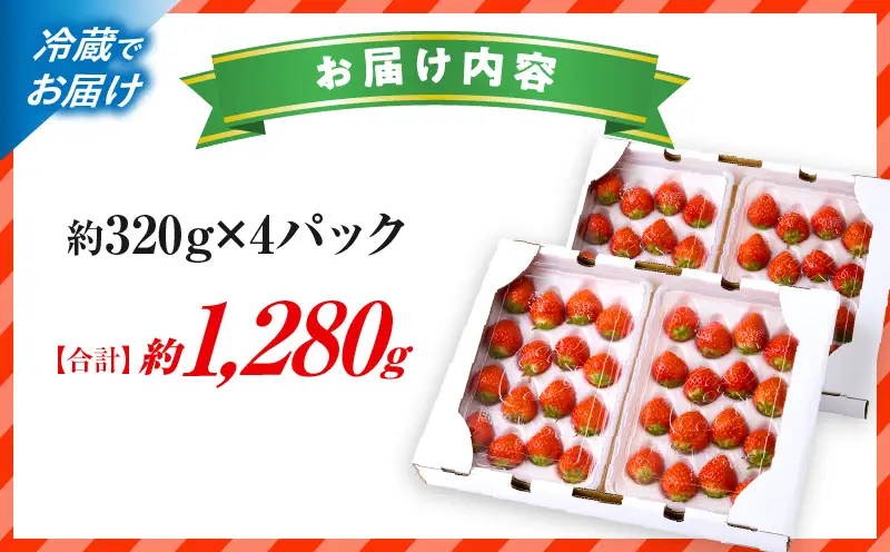 【先行予約】苺音エコノミー ～さぬきひめいちごがいっぱい～ 約1,280g | いちご おすすめ 人気 果実 果肉 果物 フルーツ デザート 贈り物 イチゴさぬきひめ |_mk137-001