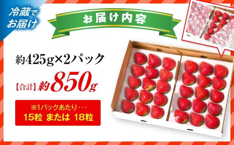 【先行予約】苺音スタンダード～春の大粒のさぬきひめいちご～　約850ｇ | スイーツ いちご イチゴ ストロベリー さぬきひめ さぬき姫 苺 冷蔵 フルーツ 旬 果物 香川県 デザート 青果物 おすすめ |_mk137-003