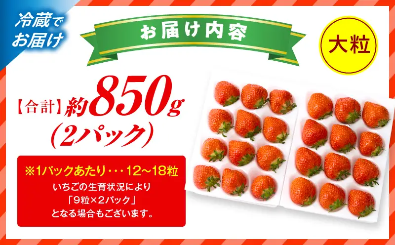 【先行予約】苺音ラグジュアリー～冬の大粒さぬきひめいちご～　約850g | スイーツ いちご イチゴ ストロベリー さぬきひめ さぬき姫 苺 冷蔵 フルーツ 旬 果物 香川県 デザート 青果物 おすすめ |_mk137-002