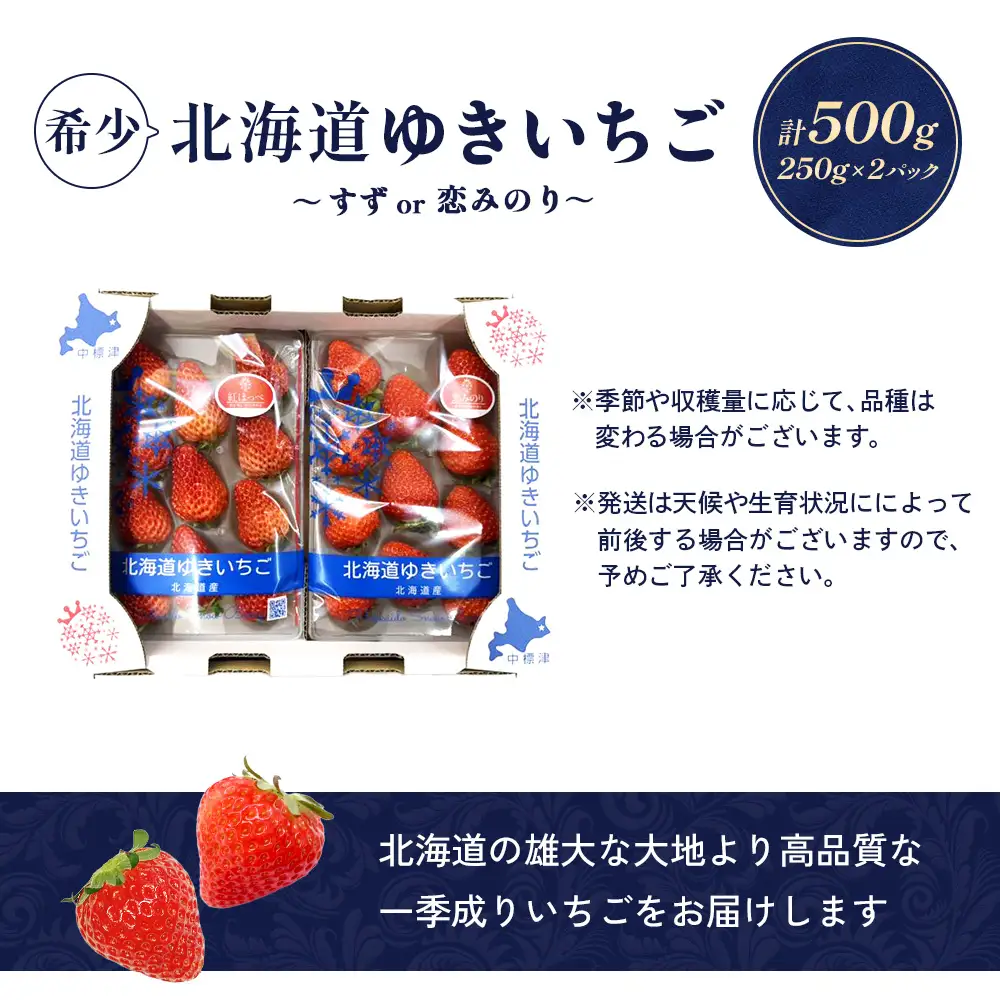 【2027年１月以降発送！】【北海道産】ゆきいちご（すずor恋みのり） ２Pセット 各250g×２ 計500g | 苺 いちご 一季成りイチゴ 希少 ギフト お取り寄せ ふるさと納税 北海道 中標津【5900502】
