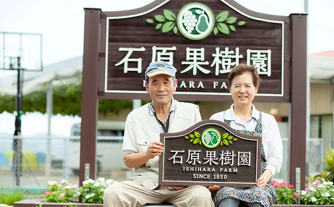備前乙女米 白米 乳酸菌栽培 石原果樹園 岡山県産 備前乙女米【5kg×1袋】