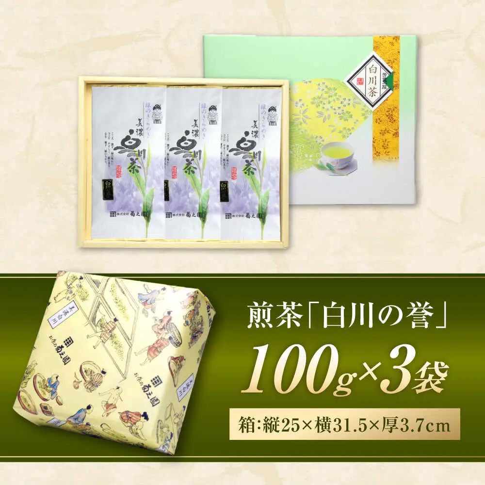 新茶 煎茶セット 300g 化粧箱入り / 菊之園[AWAG008]煎茶新茶