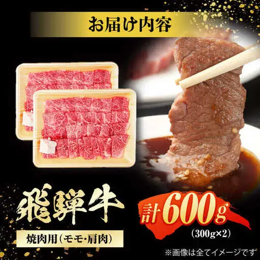 飛騨牛 焼肉用赤身 600g / 浅井商店[AWBJ001]飛騨牛