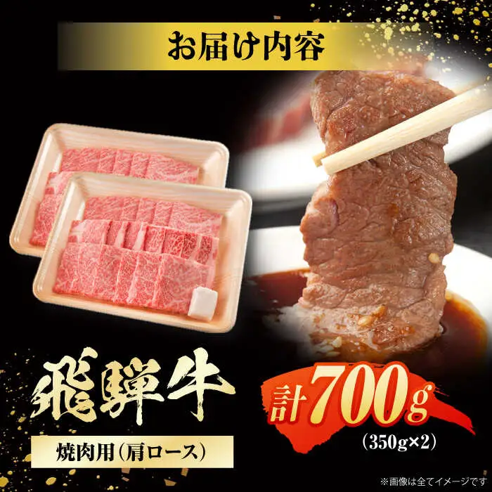 飛騨牛 焼肉用肩ロース 計700g / 浅井商店[AWBJ002] 飛騨牛