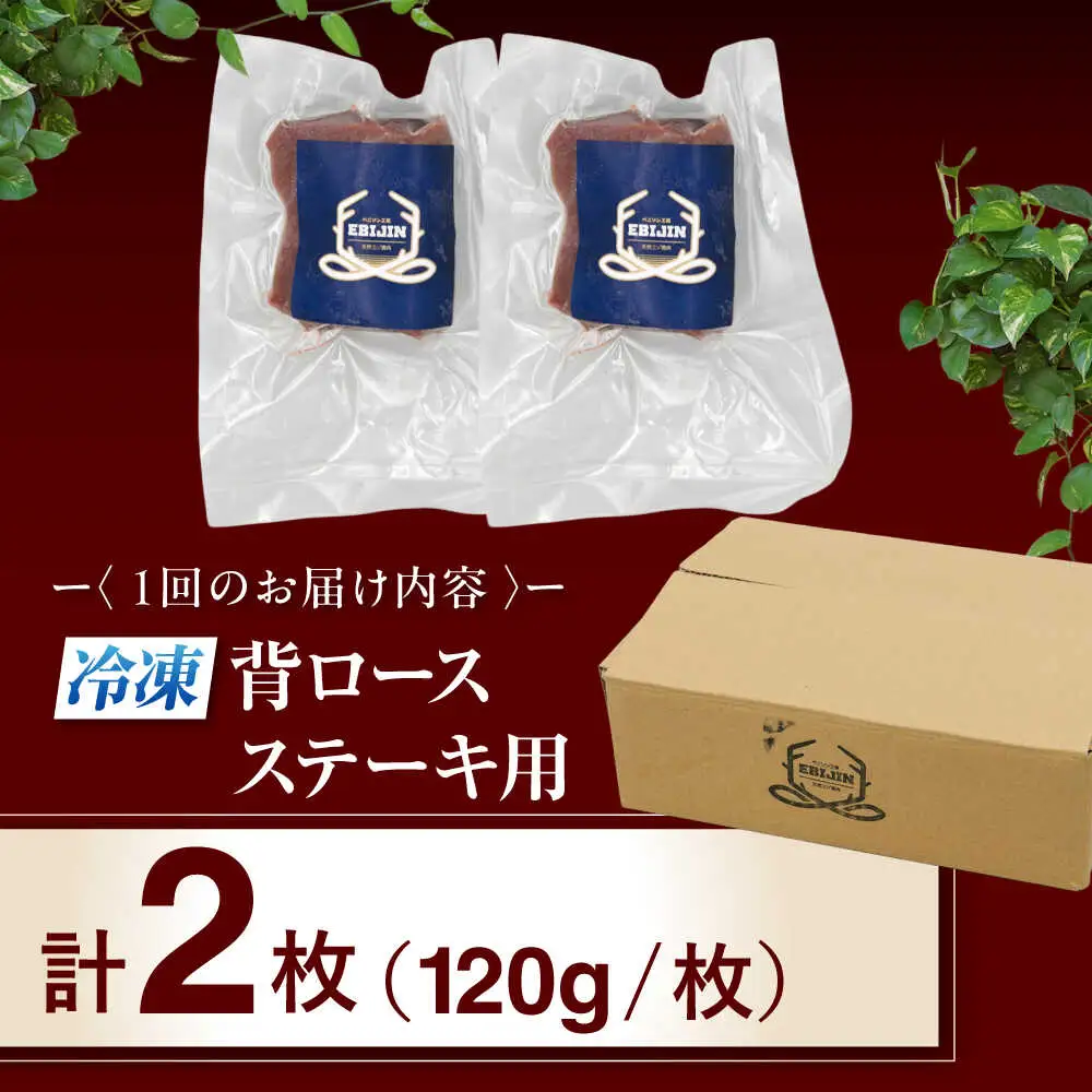 【全3回定期便】鹿肉 背ロース 2枚  ジビエ 赤身 冷凍配送 [AJAO068]