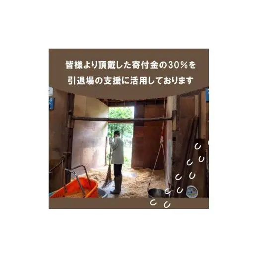 【 支援 】 支援引退馬2千円
