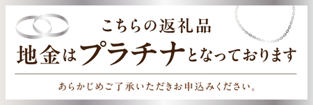 PT999鍛造リング　ハーフエタニティダイヤ10石1.0ct　9000300567