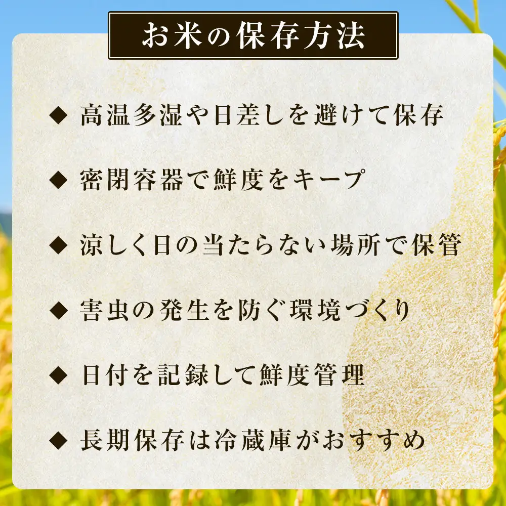【令和8年産】【3ヶ月連続お届け】　信州長野市芋井産　あきたこまち　5ｋｇ | 米 あきたこまち 定期便 精米