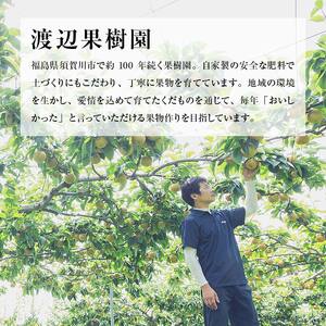 渡辺果樹園の南水梨 約3kg＜9月上旬～9月下旬にお届け＞ F7X-0884