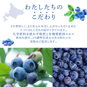 ブルーベリー 500g 大粒 小粒 北海道 ブルーベリー