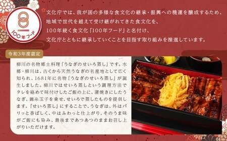 【文化庁｢100年フード｣認定品】やながわ せいろうなぎ（鹿児島県産 うなぎ）2個セット