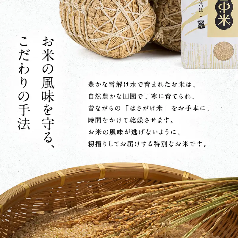 令和8年産 特Aランク米 ななつぼし 精米 10kg（5kg×2袋）【5月発送】