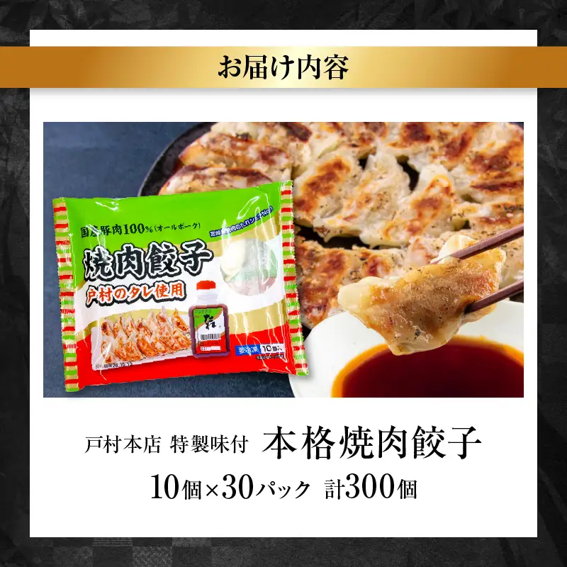 焼くだけ!! 簡単調理 焼肉餃子 10個 × 30パック 計300個_FG8-25
