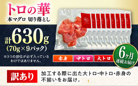 【全6回定期便】訳あり！対馬産 本マグロ 切り落とし 630g（9パック） トロの華 冷凍 新鮮 海鮮 小分け マグロ[WAQ037]