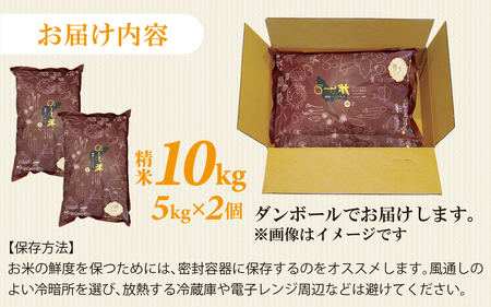 【新米】のと米（新米/精米10kg）｜米 こしひかり コシヒカリ 能登 のと お米 令和7年産