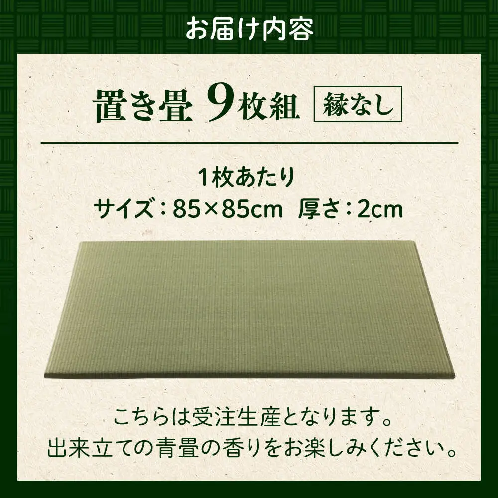 一畳屋 たたみっこ 縁無し 9枚セット 畳[AYAB002]
