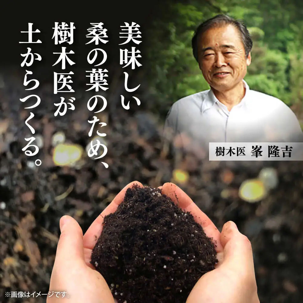 峯樹木園 桑の葉茶 粉末100g×2袋セット お茶[AYAB015]