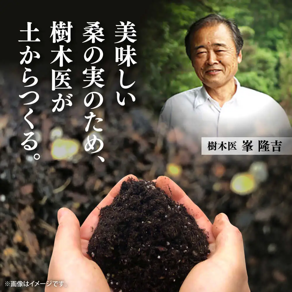 峯樹木園 桑の実ジュース 500ml×2本セット ジュース[AYAB019]