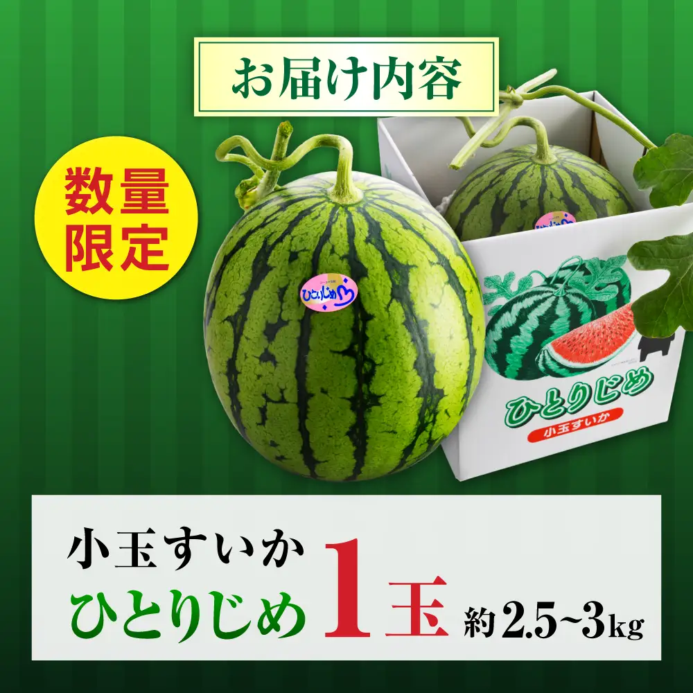 【先行予約】【2027年4月中旬より順次発送】小玉すいか 1玉入（約2.5kg～3kg） スイカ[AYAB023]
