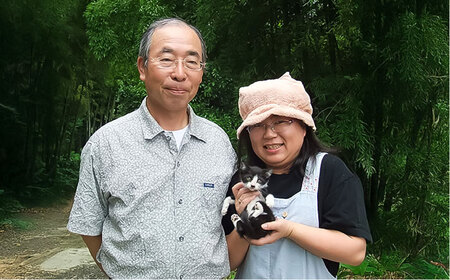 いちじょう 米（品種 にこまる） 精米 5kg 熊本県産  お米[AYAB053]