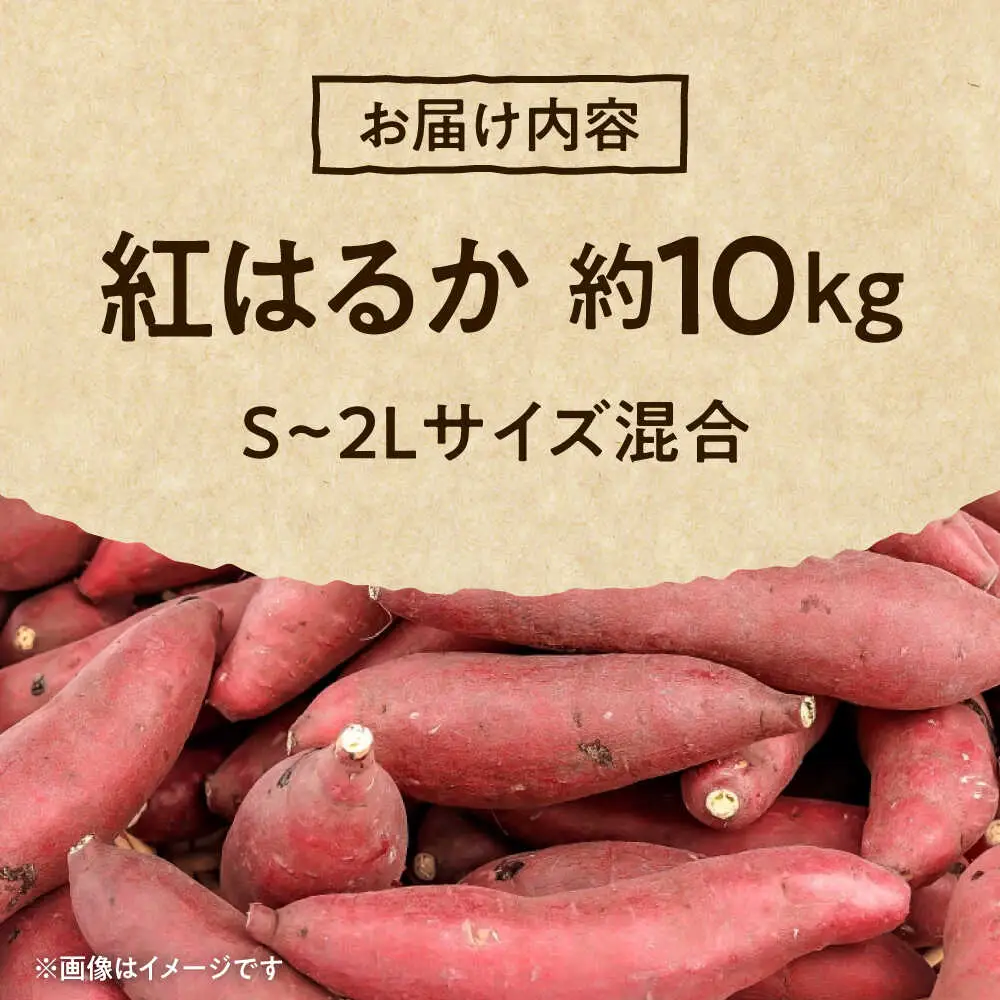 紅はるか さつまいも 秀品 約10kg S?2Lサイズ混合 さつまいも[AYAT005]