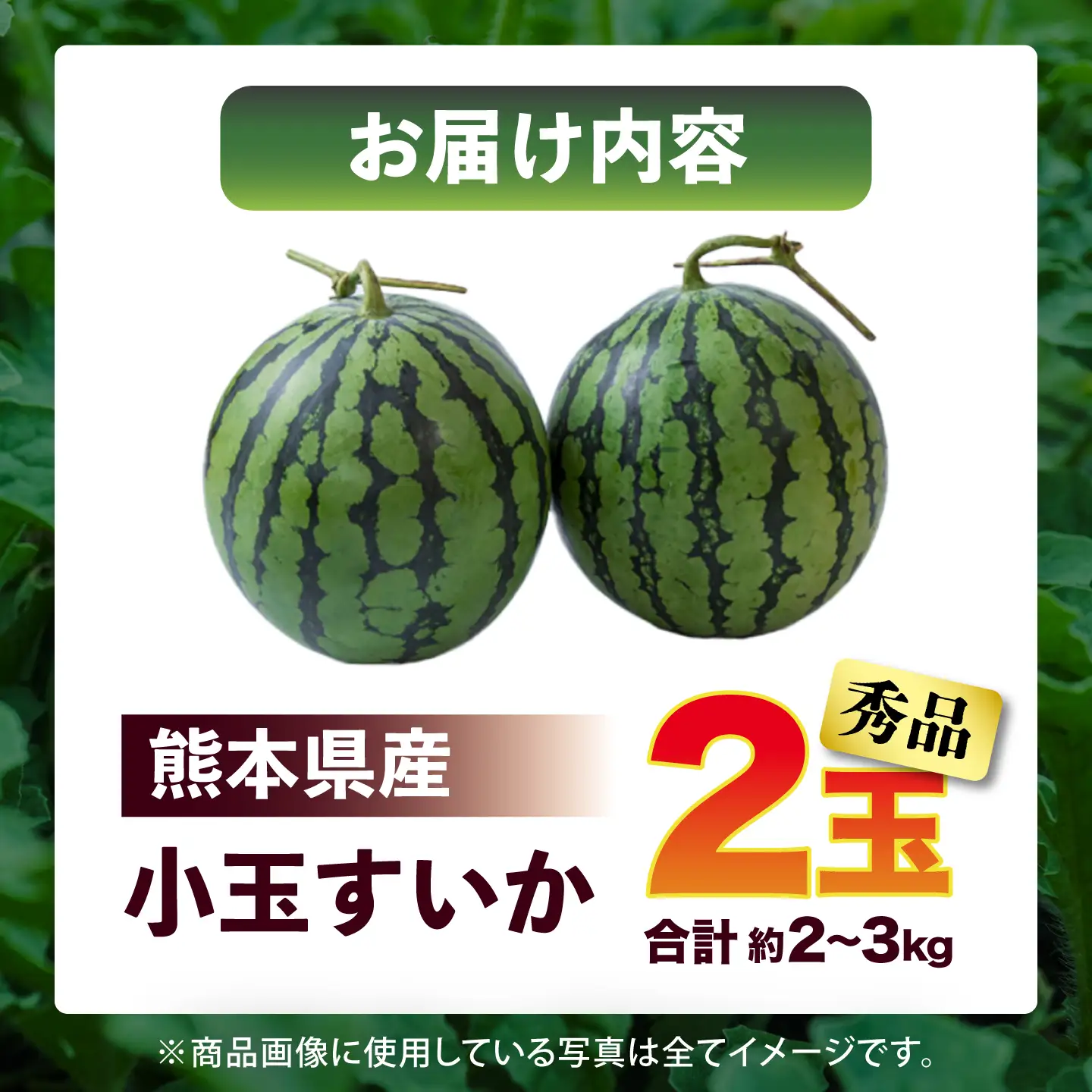 令和8年熊本地震復興支援 先行予約2027年5月下旬より発送 小玉スイカ秀品2玉計約2kg~3kg数量限定スイカすいかAYAT008