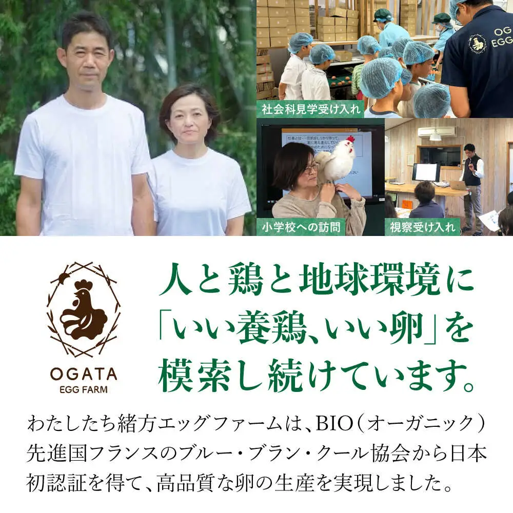 竹林かぐや姫オメガたまご 36個入 たまご 卵[AYBG002]