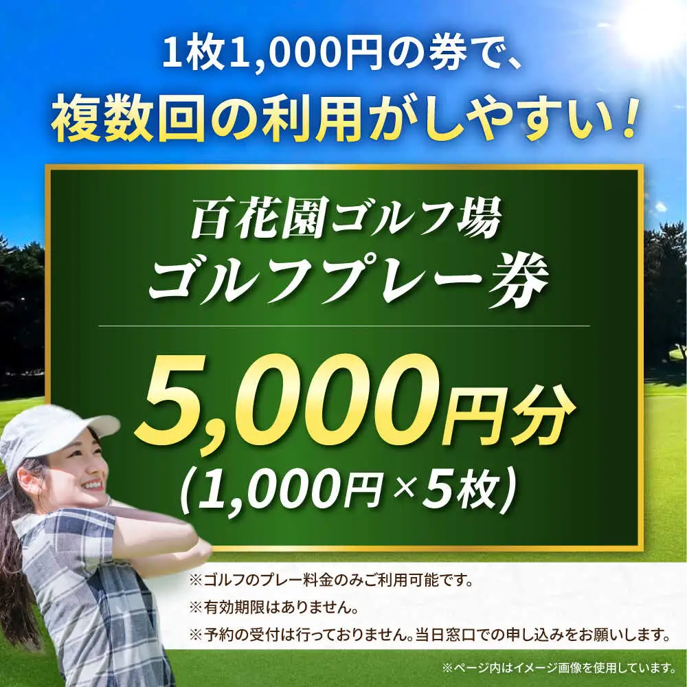 百花園ゴルフ場 ゴルフプレー利用券 5,000円分 ホール プレー チケット 熊本県 合志市[AYBL002]