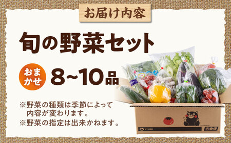 令和8年熊本地震復興支援 旬の野菜おまかせ詰め合わせセット 8〜10品目 野菜 [AYCA001]