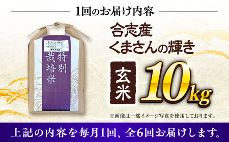 【令和7年度】 【全6回定期便】 くまさんの輝き 玄米 10kg 計60kg 玄米[AYCC003]