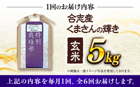 【令和7年度】 【全6回定期便】 くまさんの輝き 玄米 5kg 計30kg 玄米[AYCC026]
