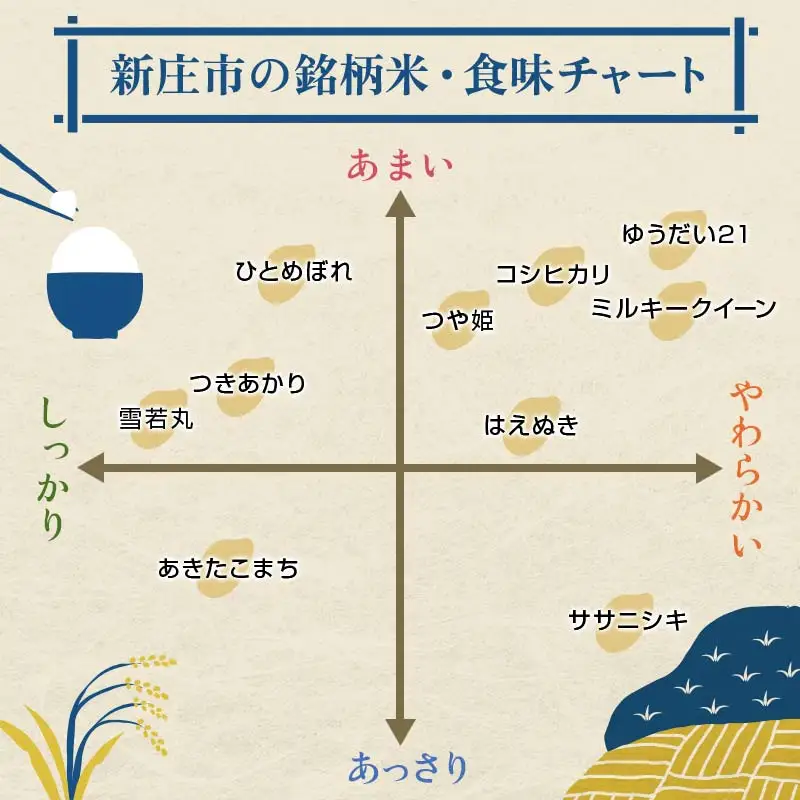 【令和8年産】定期便 全12回 極みのはえぬき（精米）3kg 米 お米 おこめ ふるさと納税 山形県 新庄市 F3S-2840