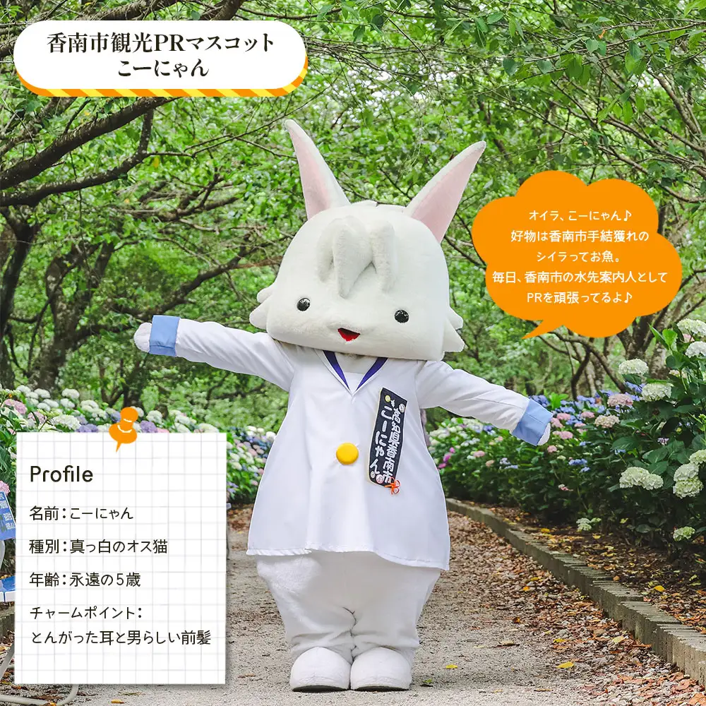 寄附のみの応援受付(返礼品はございません) 高知県 香南市 返礼品なし 寄付 ky-02