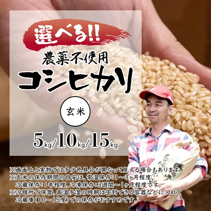 令和7年度産 棚田米 玄米 10kg コシヒカリ 栽培期間中 農薬不使用