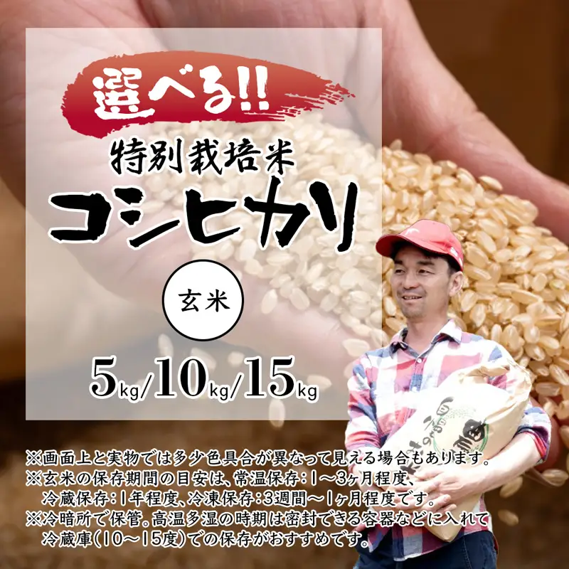 令和8年度産 新米 棚田米 15kg 玄米 コシヒカリ 特別栽培米 7割削減