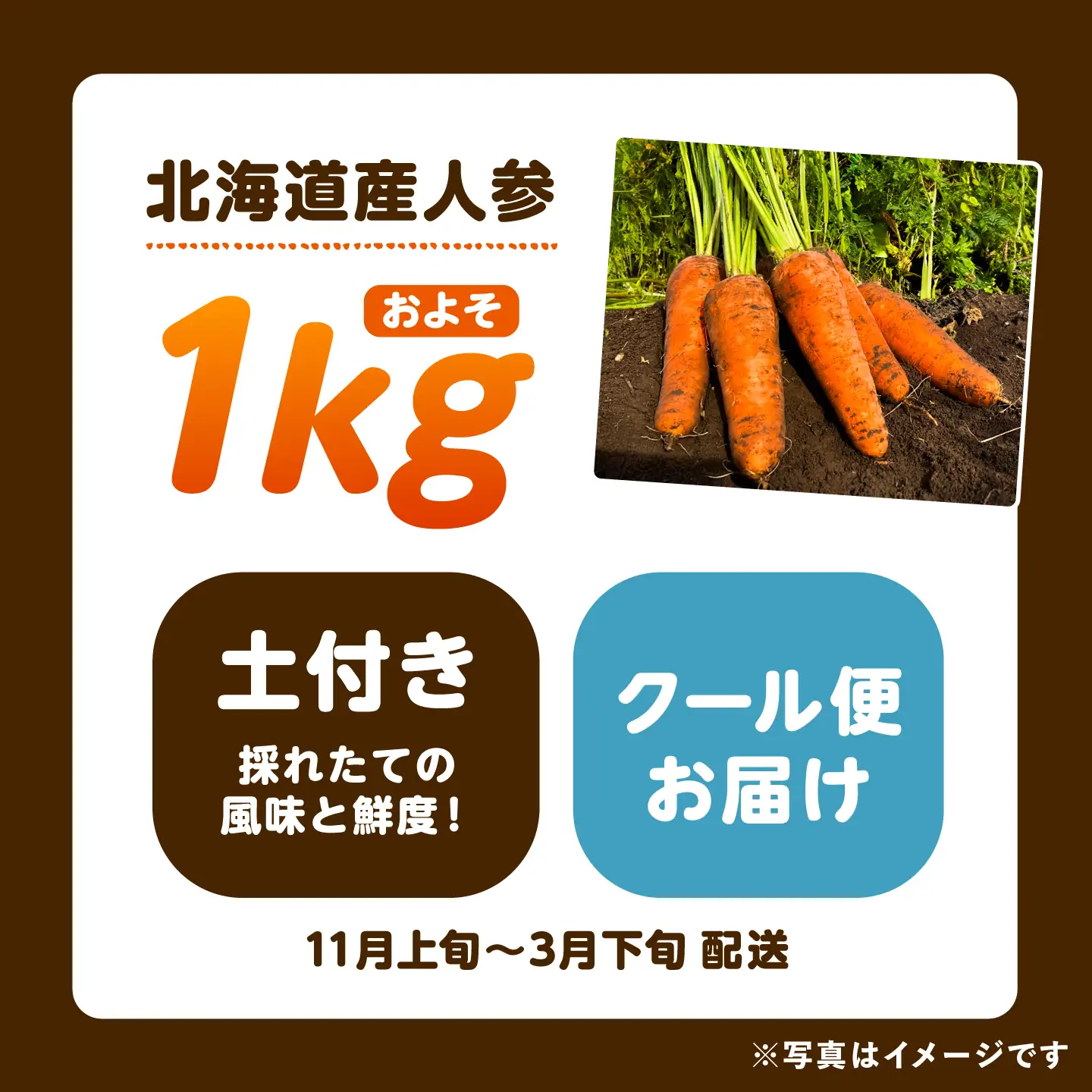 【先行予約】北海道にんじん 1kg(土付き)にんじん [BEBA001]