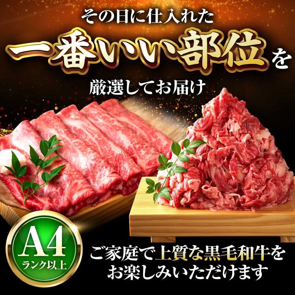 【訳あり】博多和牛 スライス&切り落とし750g [BGAB020]訳あり 牛肉