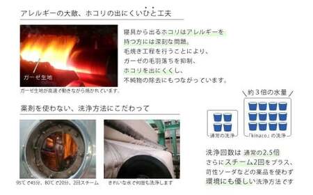 【シングルサイズ 】 オーガニックコットン ガーゼケット 【キナリ】 