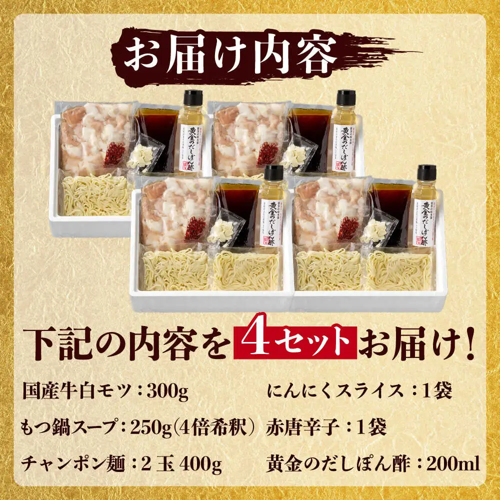 【厳選国産牛】博多もつ鍋 醤油味パーティーセット8~12人前[BGAI027] 鍋 大容量