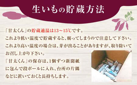 171-1134x2 【先行予約】 高糖度さつまいも 甘太くん 約1.2kg（Lサイズ2本・Mサイズ3本） サツマイモ 甘藷 かんしょ おやつ 焼き芋 【2026年12月上旬から2027年4月下旬発送予定】