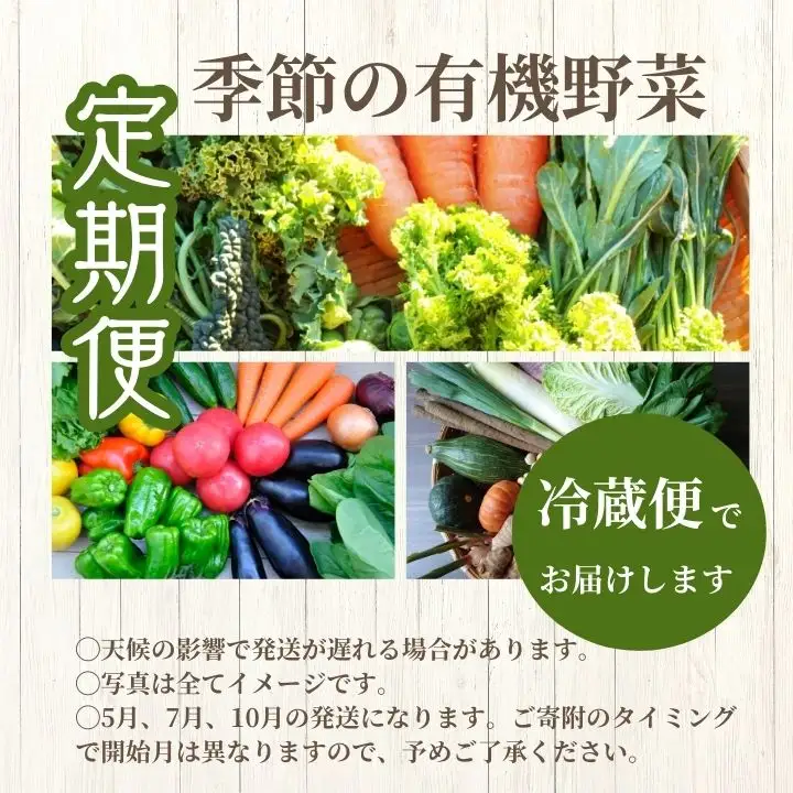 定期便 全3回 季節の有機野菜セット【一般社団法人二本松有機農業研究会】