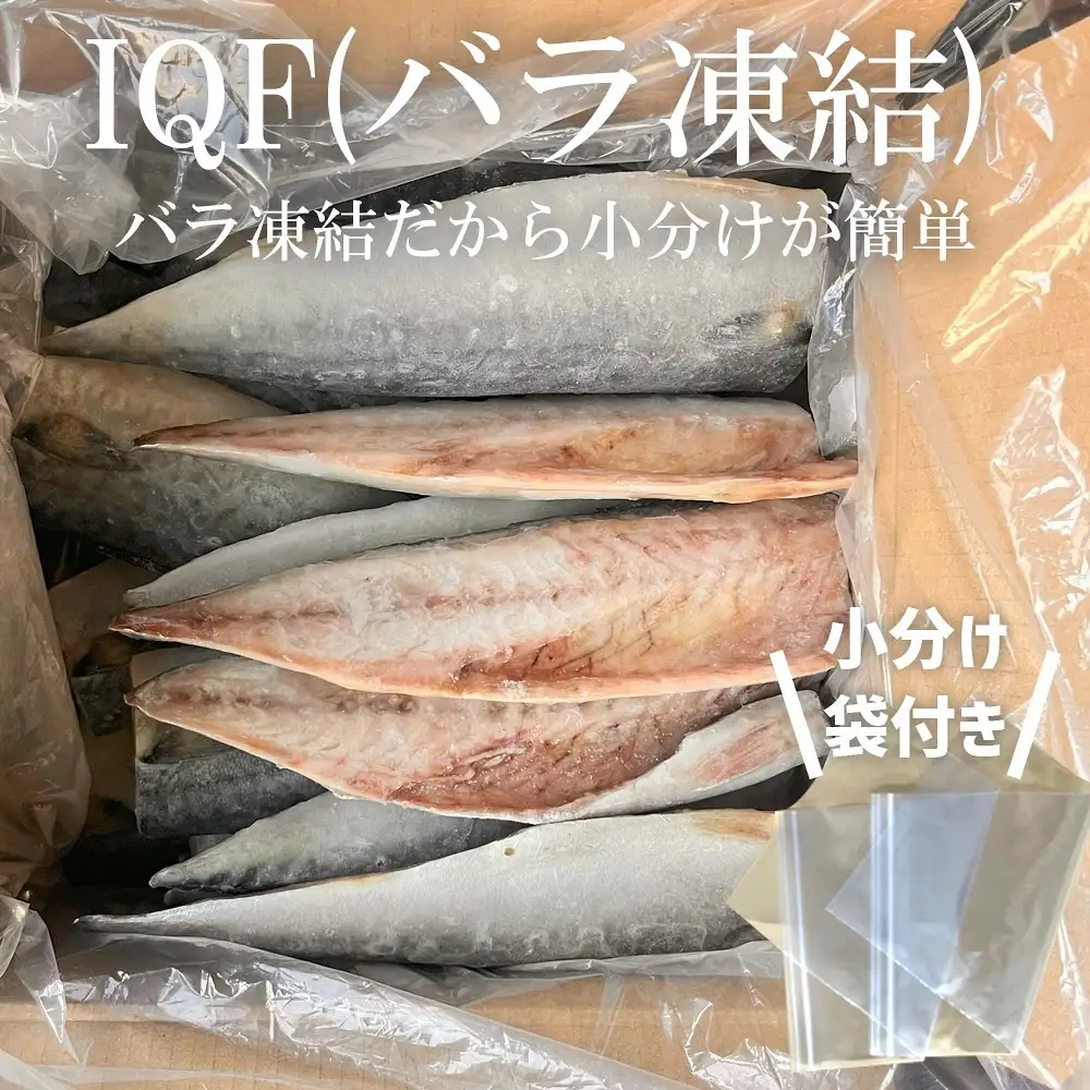 【ふるなびWEEK対象】金華さば半身6枚 無塩 バラ凍結
