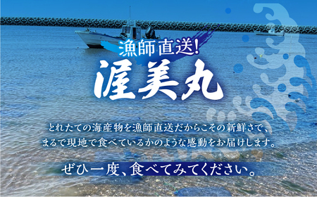 【先行予約】訳あり 殻付き 生牡蠣 5kg 加熱用 軍手・牡蠣ナイフ付 牡蠣 カキ かき 生 殻付牡蠣 フライ 鍋 バーベキュー BBQ 海鮮 魚介 魚貝 貝 魚介類 新鮮 渥美半島 田原市 愛知県 国産 海産物 オイスター 海の ミルク 軍手 牡蠣 ナイフ 付 冬 - 春