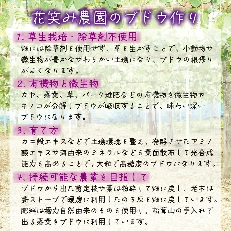 花笑み農園のピオーネ加工品3種セット『ラムピオーネジャム＆ワイン&飲む酢』 【hana075-01】