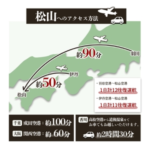愛媛県松山市 日本旅行 【地域限定旅行クーポン 300,000 円】 旅行 トラベル チケット 宿泊 宿泊券 旅館 予約 観光 愛媛県 松山市 人気 おすすめ【NTA006】