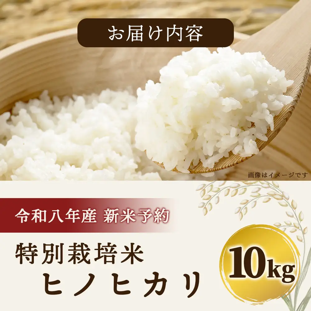 【令和8年産 新米予約】特別栽培米「ヒノヒカリ」10kg 精米 114-0601