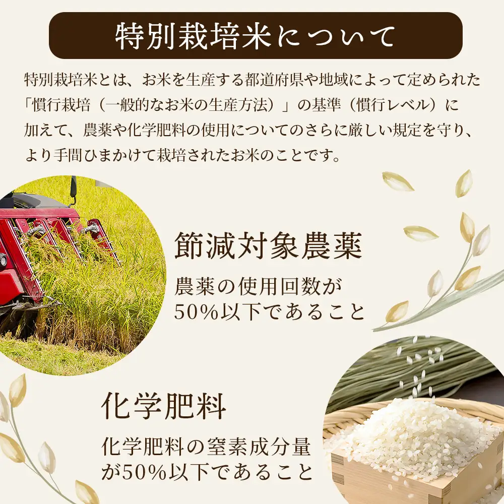 【令和8年産 新米予約】特別栽培米「ヒノヒカリ 玄米」10kg 114-0602